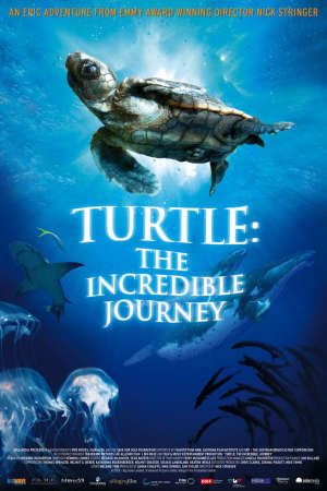 Phim Hành Trình Vĩ Đại Của Loài Rùa - Turtle The Incredible Journey PhimChill Vietsub (2011)