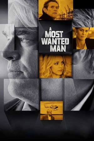 Phim Kẻ Truy Nã Đặc Biệt - A Most Wanted Man PhimChill Vietsub (2014)