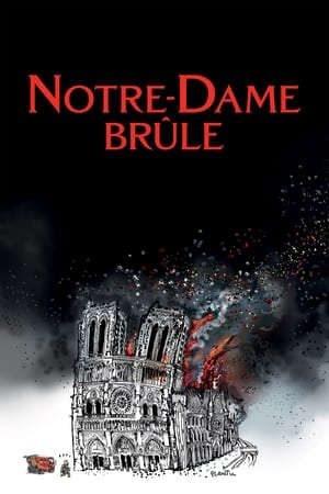 Xem phim Vụ Cháy Ở Pari tập full PhimChill Thuyết Minh HD - Vietsub Quốc Gia Khác-Notre Dame Brûle