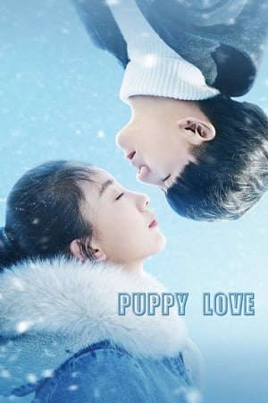 Xem phim Tình Yêu Tuổi Mới Lớn tập full PhimChill Thuyết Minh HD - Vietsub Phim Trung Quốc-Puppy Love