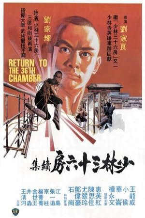 Phim Trở Về Thiếu Lâm Tam Thập Lục Phòng - Return To The 36Th Chamber PhimChill Vietsub (1980)