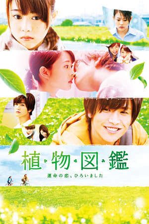 Phim Tình Yêu Định Mệnh Chợt Đến - Evergreen Love PhimChill Vietsub (2016)