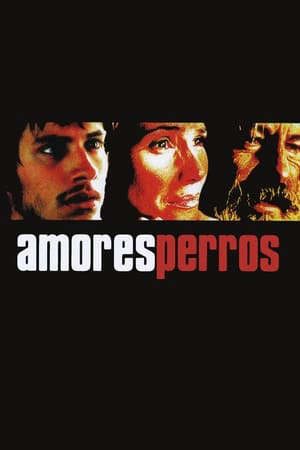 Phim Kẻ Vô Đạo - Amores perros PhimChill Vietsub (2000)