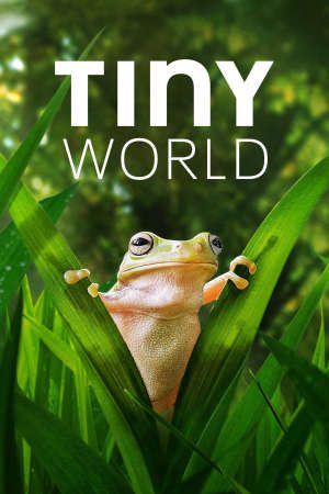 Xem phim Thế Giới Siêu Nhỏ ( 2) tập 6 PhimChill Thuyết Minh HD - Vietsub Phim Mỹ-Tiny World (Season 2)