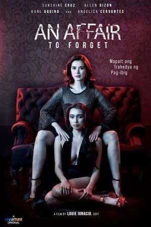 Phim Ngoại Tình An Affair to Forget - An Affair to Forget PhimChill Vietsub (2022)