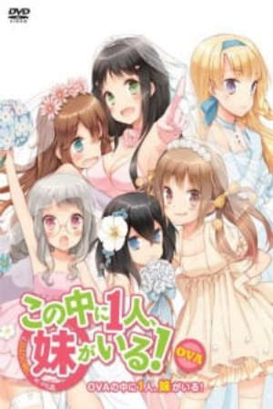 Phim Kono Naka ni Hitori Imouto ga Iru Ani Imouto Koibito - Kono Naka ni Hitori Imouto ga Iru OVA Kono Naka ni Hitori Imouto ga Iru Episode 13 NakaImo One of Them is My Younger Sister OVA Who is Imouto OVA NAKAIMO My Little Sister Is Among Them OVA PhimChill Vietsub (2013)