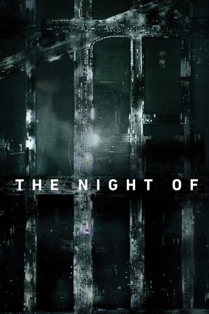 Phim The Night Of - The Night Of PhimChill Vietsub (2016)