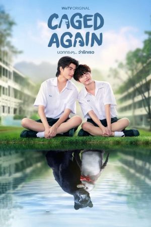 Phim Dũng Cảm Nói Yêu Người - Caged Again PhimChill Vietsub (2024)