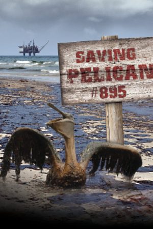 Phim Giải Cứu Chú Bồ Nông Thứ 895 - Saving Pelican 895 PhimChill Vietsub (2011)