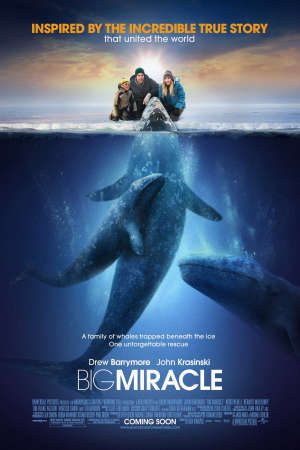 Phim Phép Màu (2012) - Big Miracle PhimChill Vietsub (2012)