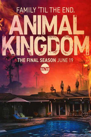 Phim Vương Quốc Tội Phạm ( 6) - Animal Kingdom (Season 6) PhimChill Vietsub (2022)