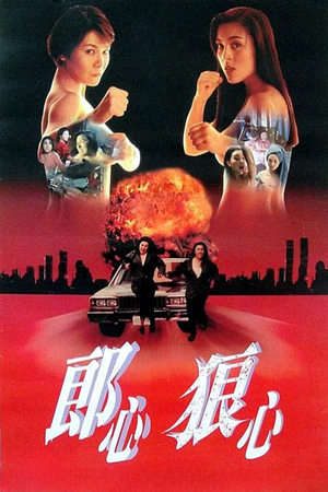 Phim Trên Đường Bôn Tẩu - Women on the Run PhimChill Vietsub (1993)