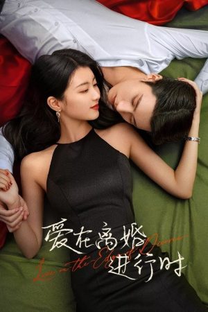 Phim Yêu Khi Sắp Ly Hôn - Love in the Edge of Divorce PhimChill Vietsub (2025)